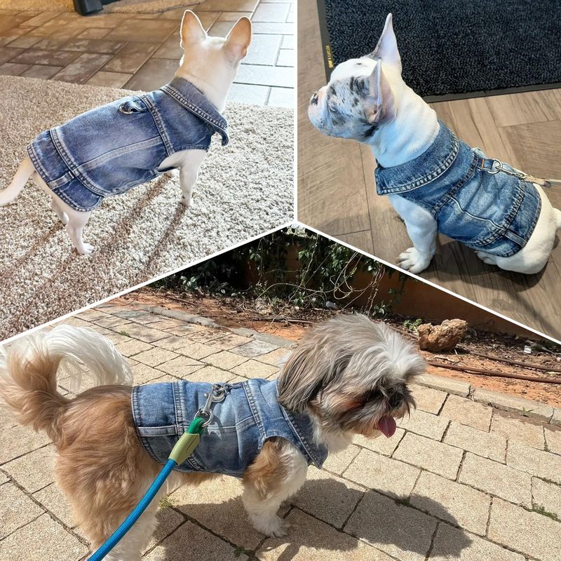 Miss Doggy Denim Jacket For Dogs By PawParty Store_voghion.com