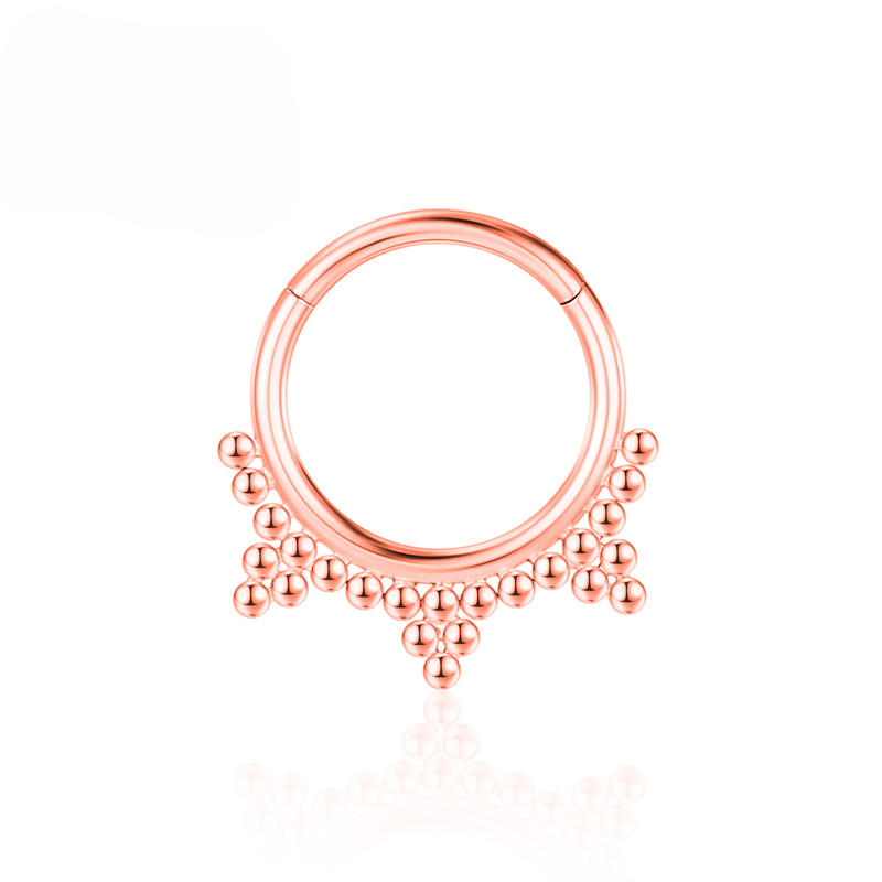 F136 Titanium Nose ring Cartilage Hoop Earrings Septum Clicker 16G Tragus Piercing Lobe Hinged Segment Helix Zircon Body Jewelry_voghion.com