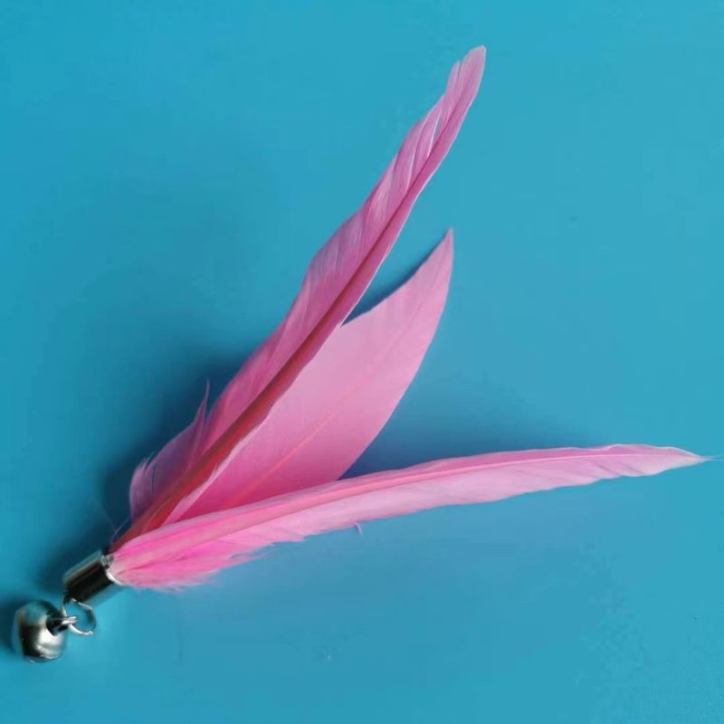 Teaser Wand Pet Cat Toy Bell Feather Replacement Head Best Seller_voghion.com