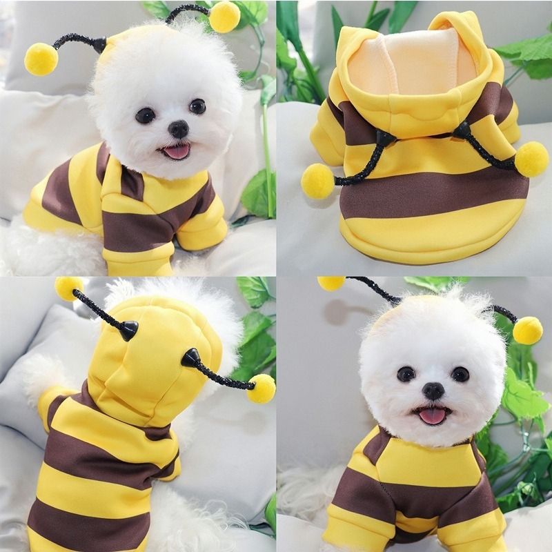Cat Autumn Winter Warm Schnauzer Teddy Small Dog Pet Clothes Bee Transformation Outfit_voghion.com
