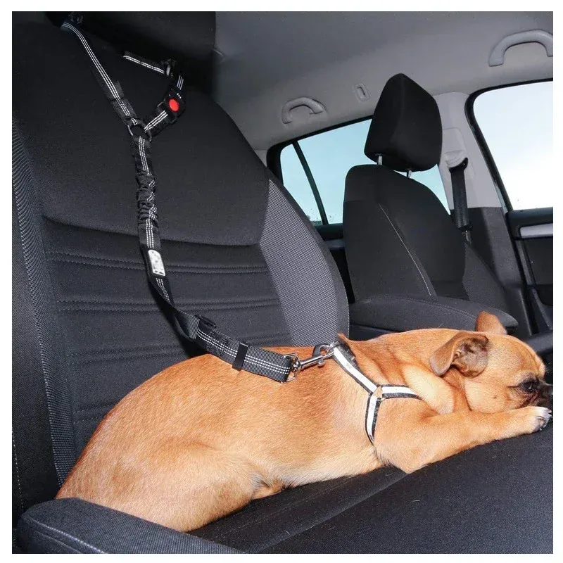 Laisse rigide et résistante aux chocs « deux en un », ceinture de sécurité pour animaux avec clip, ceinture de sécurité pour siège arrière, collier pour chaton, Pet By PawParty Store_voghion.com