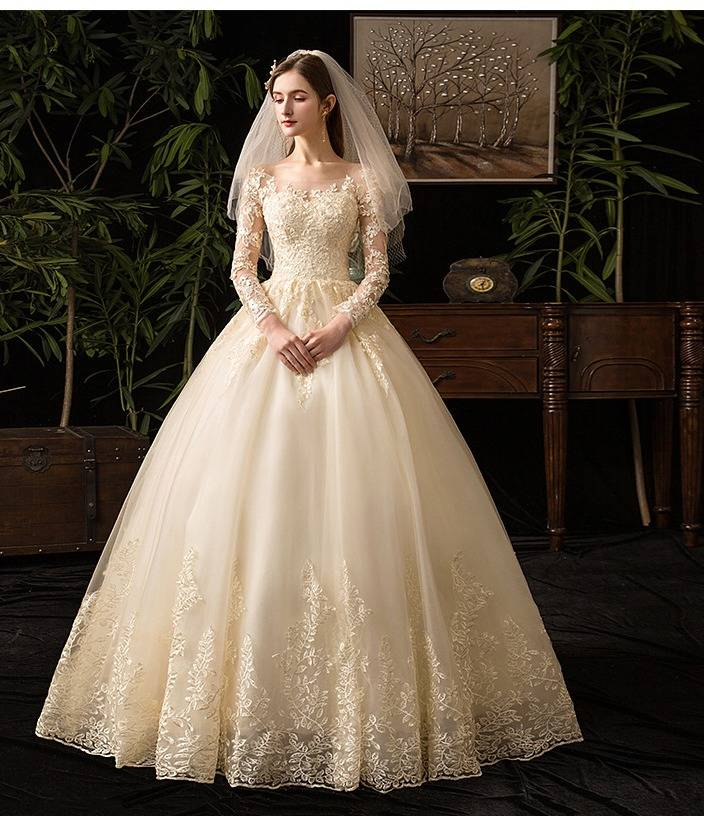 Elegant Long Sleeve Lace Wedding Dress With Princess Sleeves, A-Line Silhouette, And Corset Back – Plus Size Available_voghion.com