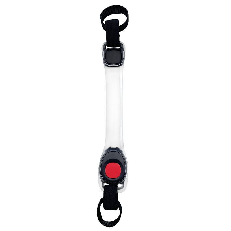 Collier LED pour chien, laisse lumineuse de sécurité pour animaux de compagnie, sangle polyvalente en gelée_voghion.com