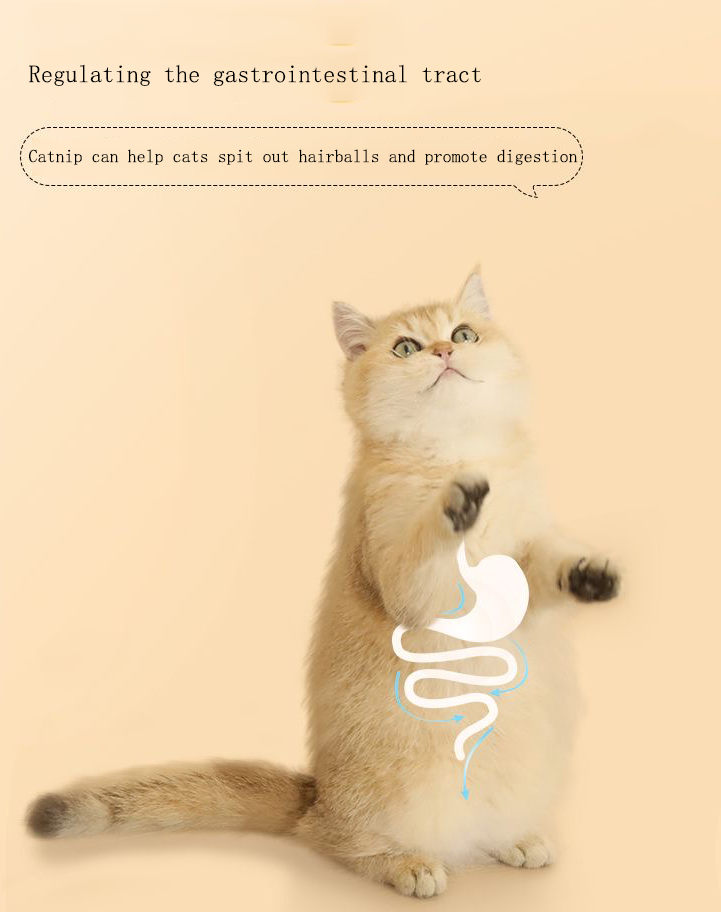 Juguetes para gatos, bolas de menta Mugianliao, limpieza y rechinamiento de dientes_voghion.com