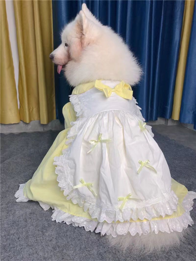 Ropa para perros medianos y grandes, vestido de princesa amarillo, fino y anticaída, de primavera y verano, vestido de moda para perros._voghion.com