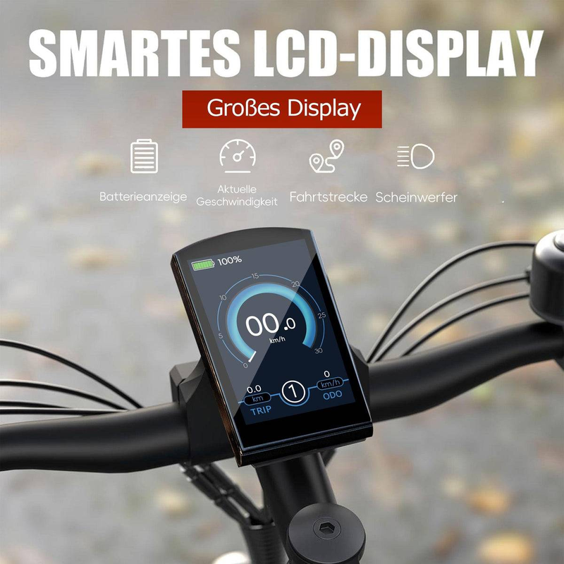 JOBOBIKE Robin 26'' Elektrofahrrad für Erwachsene 250W Bafang Motor 48V13AH_voghion.com