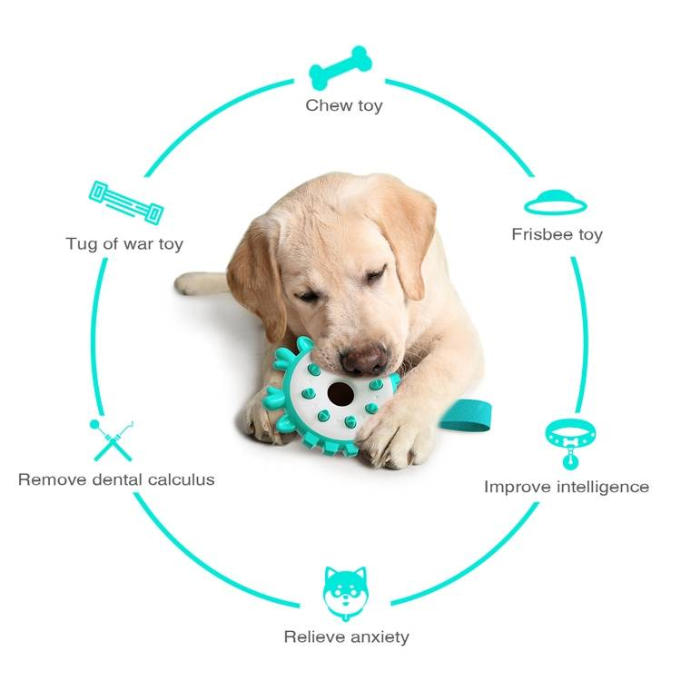 Ring Dog Toothbrushes Training Interactive Bite Dog Milling Toys_voghion.com