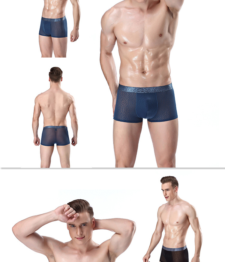 Herrenunterwäsche aus Eisseide, nahtlose, atmungsaktive Boxershorts, einfarbig_voghion.com