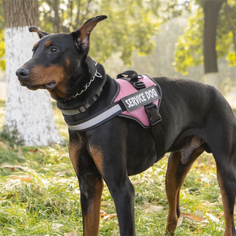 Guinzaglio per cani in pelle PU riflettente con imbracatura anti-groviglio e design retrattile per cani_voghion.com