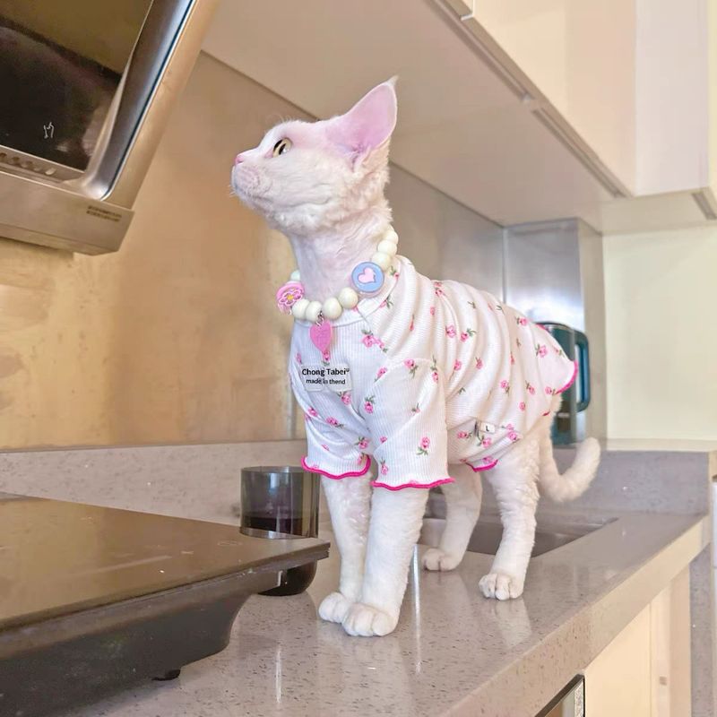 Vestiti estivi per gatti carini, nuovi, piccoli, elastici, traspiranti, sottili e senza peli, in stile tedesco_voghion.com