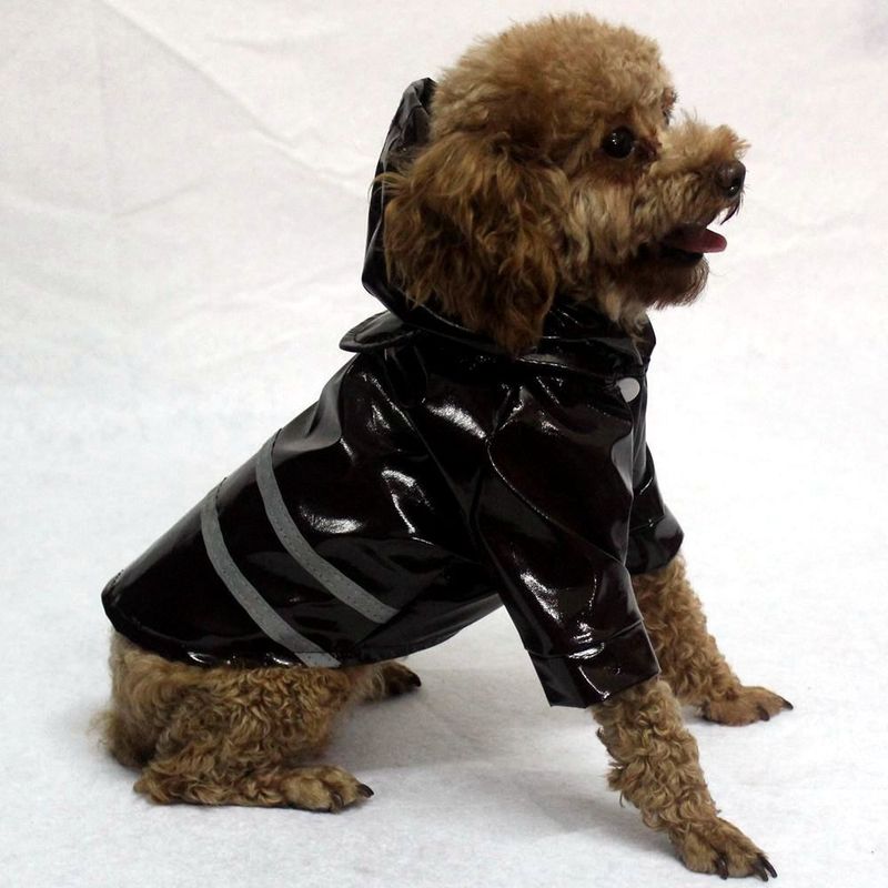 25 Stile Welpen Kapuzen Regenmantel Hund Nacht Reflektierende Sicherheitskleidung Haustier Wasserdichte Jacke Mantel Fünf Farben_voghion.com