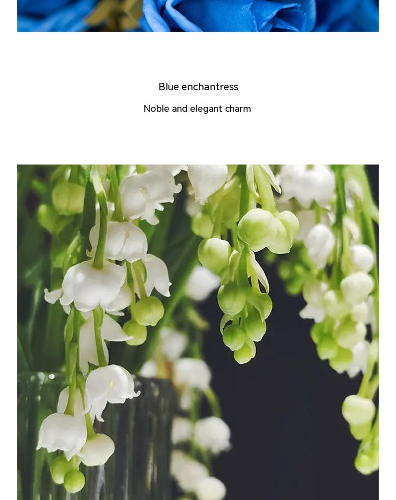 New Hot Selling Perfume and Other New Products of Concubine Li Blue Lady Miu Miu Perfume_voghion.com