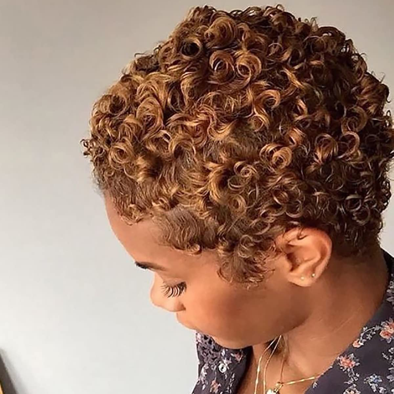 Short Afro Kinky Curly Wigs For Black Women Human Hair Wig Pixie Cut Wig Natural Black Color 100% Brazilian Virgin Hair Short Human Hair Curly Wigs_voghion.com
