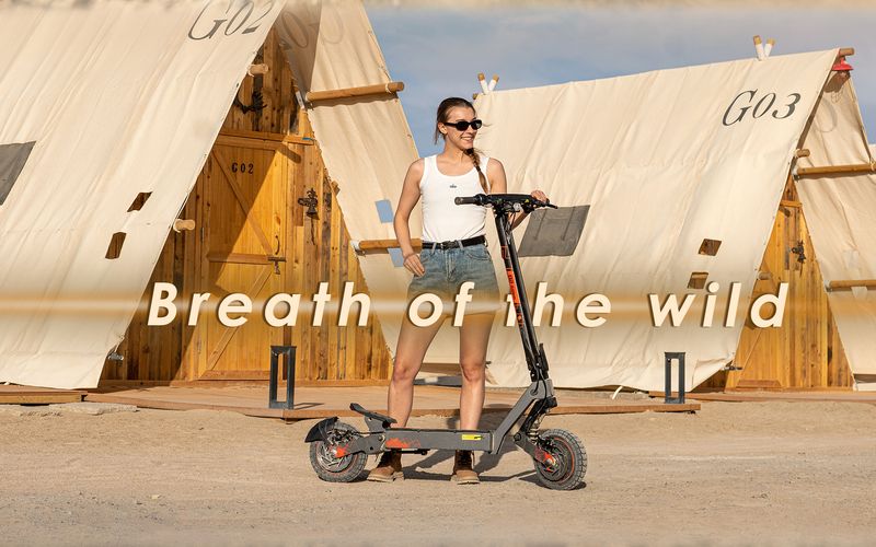 KuKirin G2 Ultra Folding Electric Scooter, 800W*2 Motor, 48V 18Ah Battery, 10 Inch Tires_voghion.com