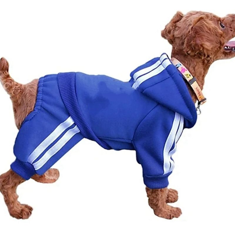 Vêtements de sport à capuche pour animaux de compagnie à quatre pattes, automne-hiver, caniche, poméranien, bichon, chiot_voghion.com