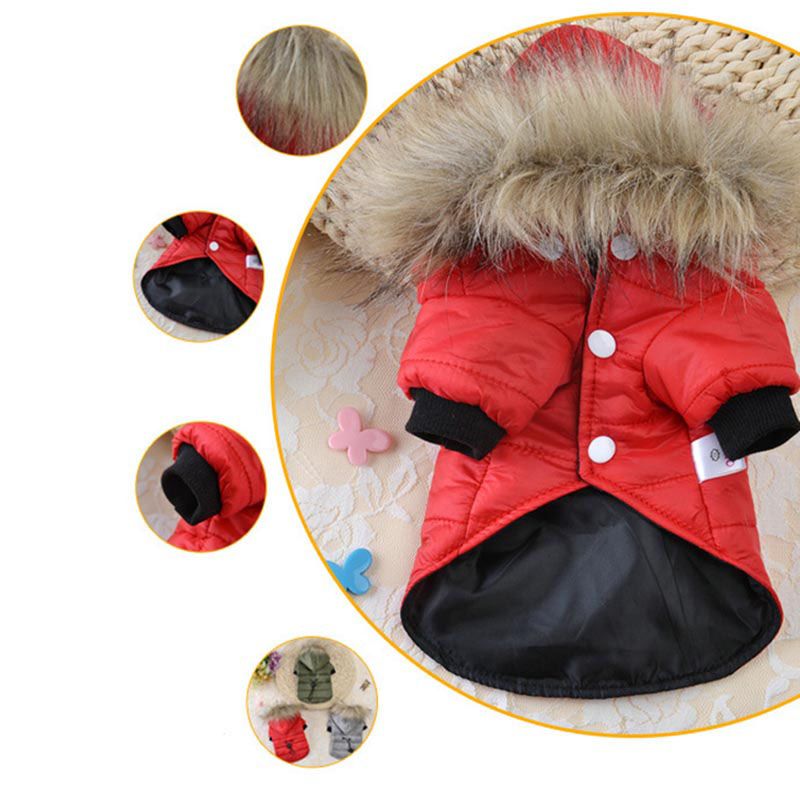 Winter Warm Hoodie Soft Cotton Pet Clothing, Waterproof Jacket Puppies For Small And Medium Dogs, Coat, Bulldog By PawParty Store_voghion.com