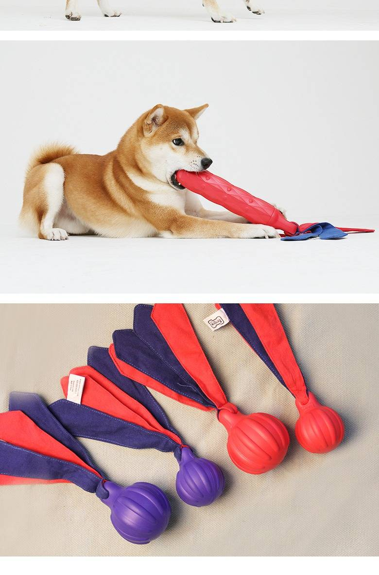 Giocattoli per animali domestici palla da addestramento schiumogena per cani resistente al morso per la dentizione, suono, sonaglio, carta da lancio all'aperto_voghion.com