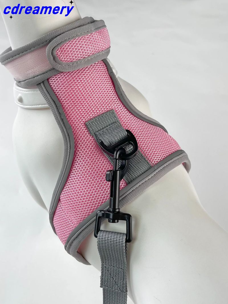 Nieuwe 2025 kattentractiekabel nachtreflecterende anti-breuk kattenriem huisdier ademende borstbandset_voghion.com