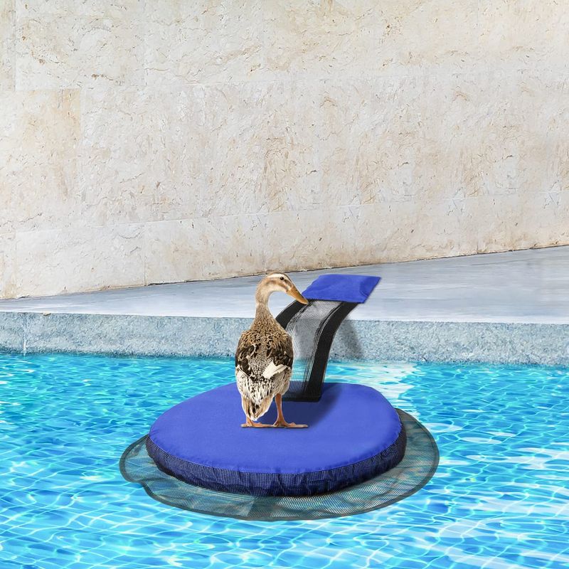 Schwimmen Pool Kleine Frosch Vogel Net Tier Outdoor Flucht Rettungs Kanal_voghion.com