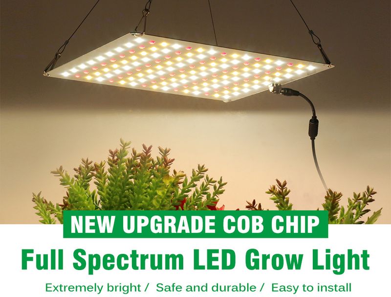 Ledgrowlight Quantum Board Planzewuesstumslampe Dimmbar Vollspektrum Planzefëllliicht Indoor Treibhausplanzung_voghion.com