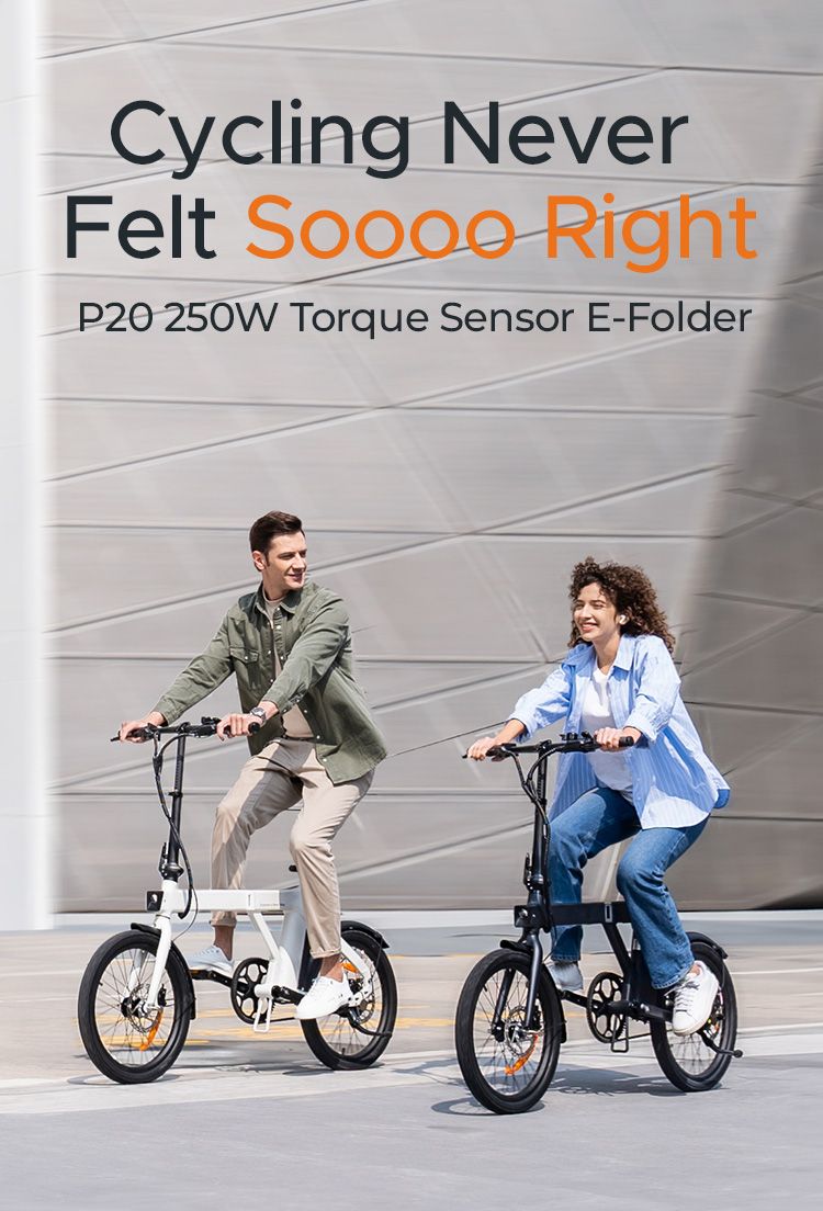 Bicicletta elettrica pieghevole ENGWE P20 da 20 pollici, motore con sensore di coppia da 250 W, batteria da 36 V e 9,6 Ah, freni a disco idraulici, bicicletta elettrica_voghion.com
