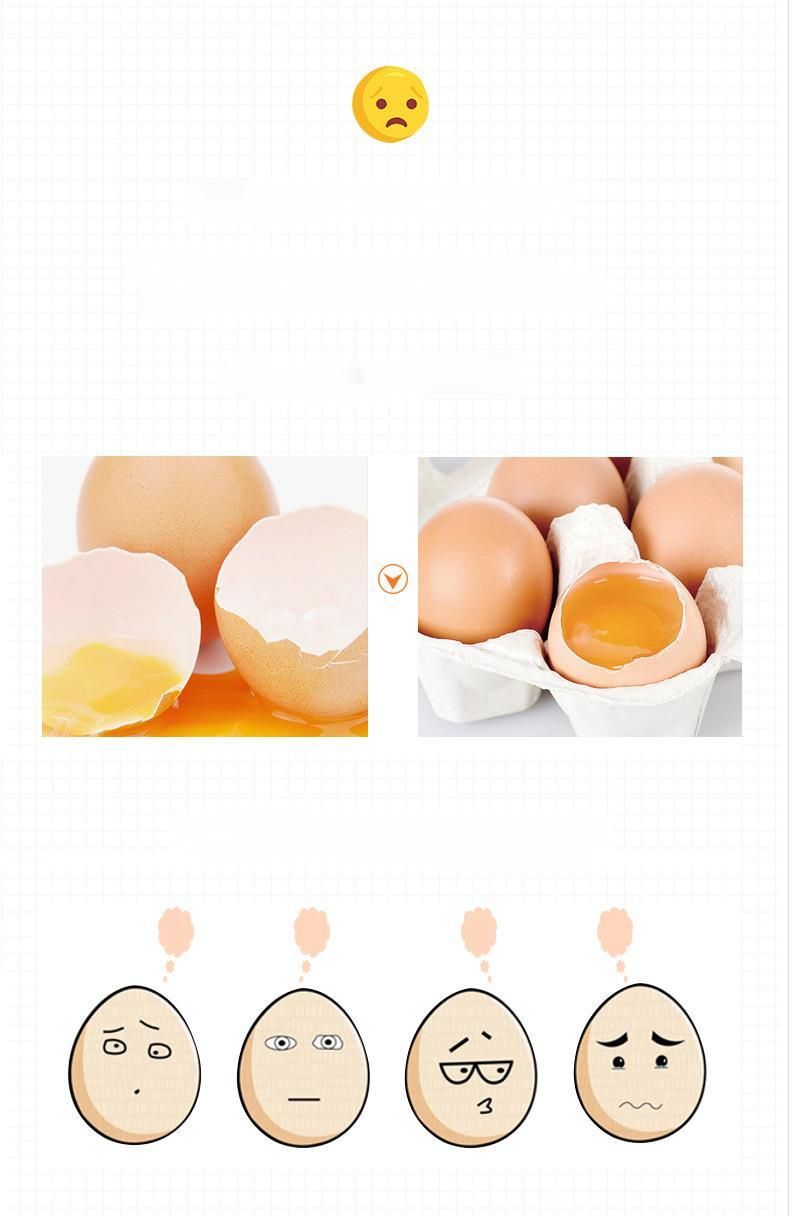 Refrigerator Fresh-Keeping Storage Creative Automatic Roller Household Kitchen Portable Egg Box Shockproof Anti-drop_voghion.com