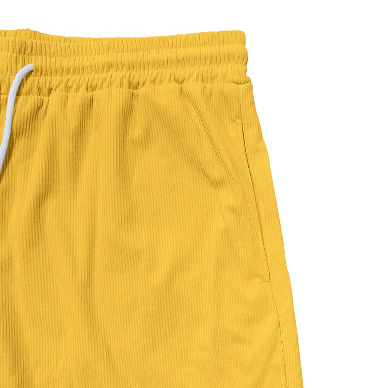 Pantalon décontracté à lacets et cinq points pour homme, couleur unie, en velours côtelé, simple, été 2024_voghion.com
