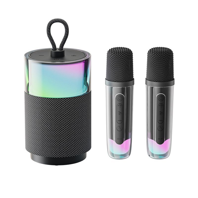 LeDu K-Singing Haut-parleur avec microphone intégré, chant, sans fil, Bluetooth, KTV, extérieur, rechargeable, portable, à la pointe de la technologie_voghion.com