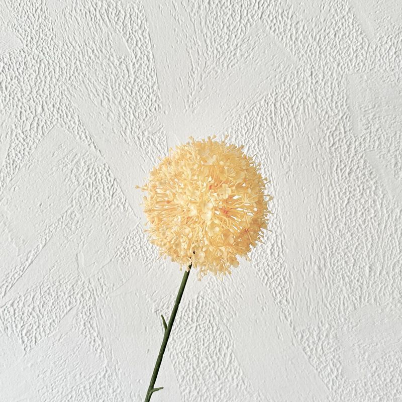 Fleurs artificielles et séchées couleur champagne pour plafond de salle de cérémonie de mariage, guide routier, décoration d'hôtel_voghion.com
