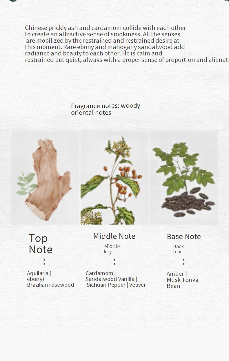 Herrenparfums NOVO Lazy Holiday, anhaltender Duft, frischer natürlicher Holzduft, Pendeln, fortgeschrittenes Geschenk für den Freund_voghion.com