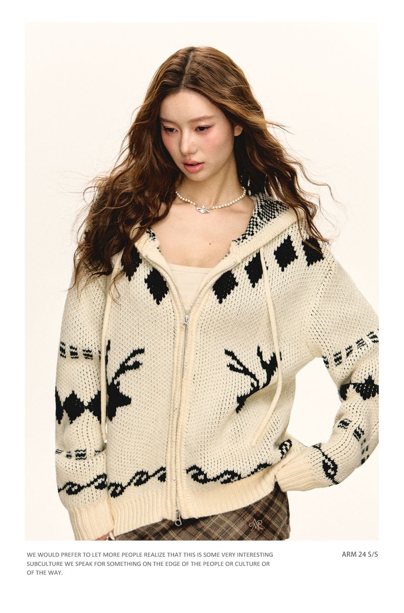 Ariseism American Style Loose Hooded Zipper Cardigan Sweater Jacket For Women Autumn New Top_voghion.com