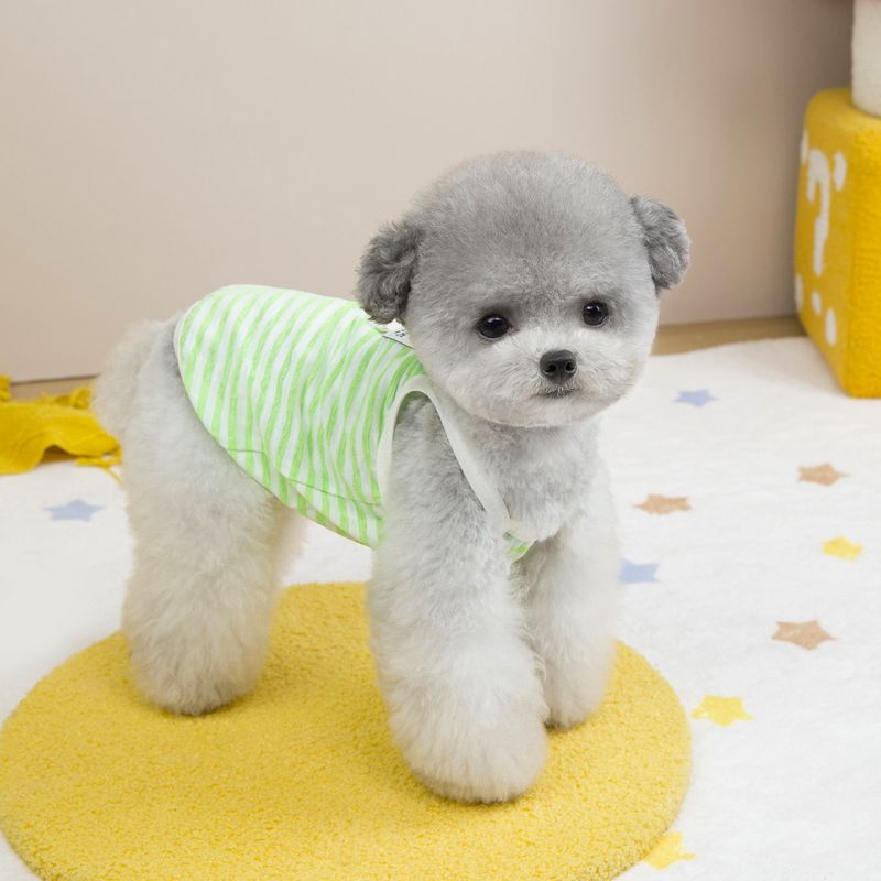 Abbigliamento per gatti, vestiti per cani, vestito per animali domestici, 25 strisce trasparenti, cinturino H_voghion.com