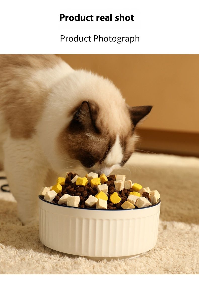 Kjæledyr konstant temperatur intelligent automatisk varmeisolering katt og hund anti tørr brennende vanndispenser keramikk_voghion.com