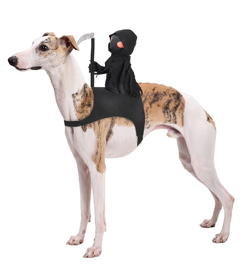 Dog Dark Harvest Knight Transformation Costume Pet Costume Halloween Funny Costume Cat Cute Riding Costume_voghion.com
