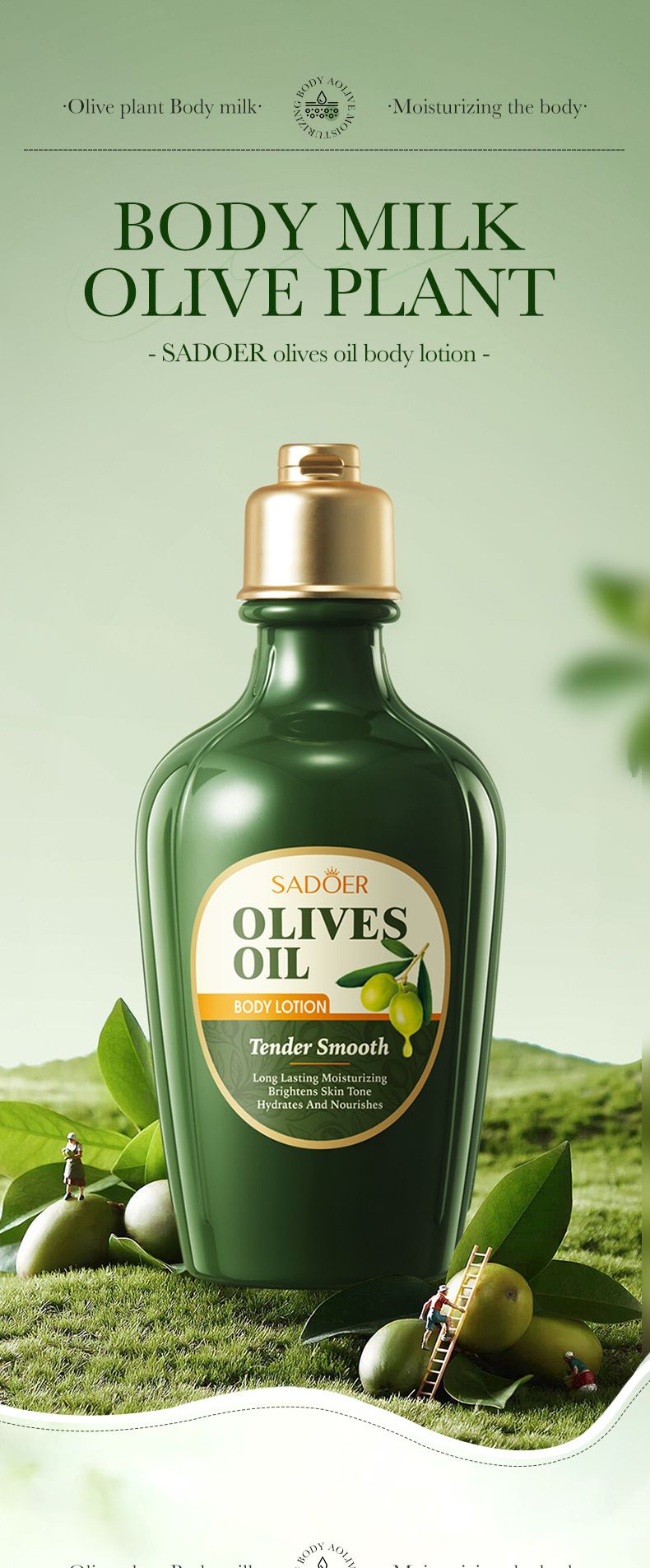 SADOER Olive Feuchtigkeitsspendende Körperlotion Körperverjüngung Hydratisierende Schönheit Grenzüberschreitender Außenhandel_voghion.com