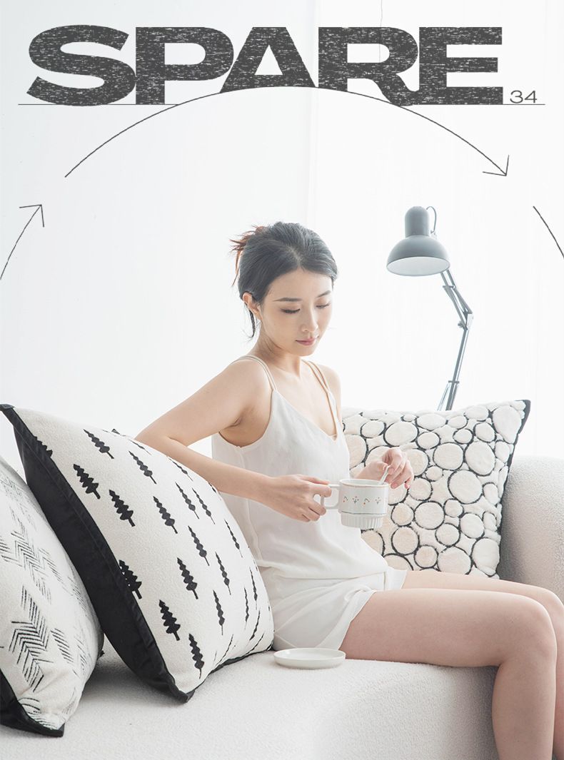 Copricuscini di lusso in velluto per divano - Copricuscini per schienale oversize, elegante decorazione per soggiorno (50x50 cm, set da 2 con cerniera nascosta)_voghion.com