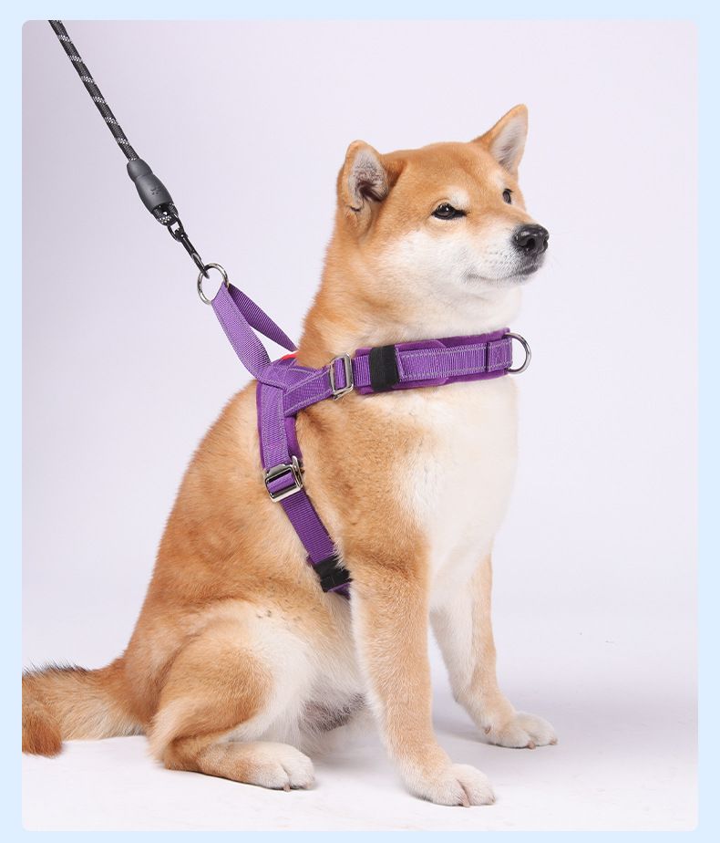 New Dog One Size Universal Quick Release T-Shape Chest Harness Pet Leash Puppy Explosion-Proof Summer_voghion.com