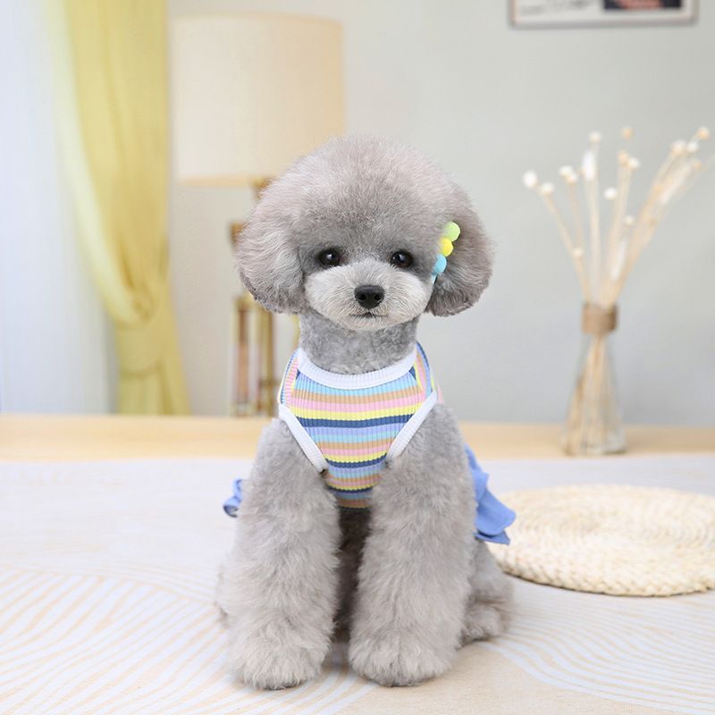 Vestiti per animali domestici, cartoni animati, orsacchiotto, schnauzer, bulldog francese, carlino, cani di piccola e media taglia, a righe, 100% di sconto._voghion.com