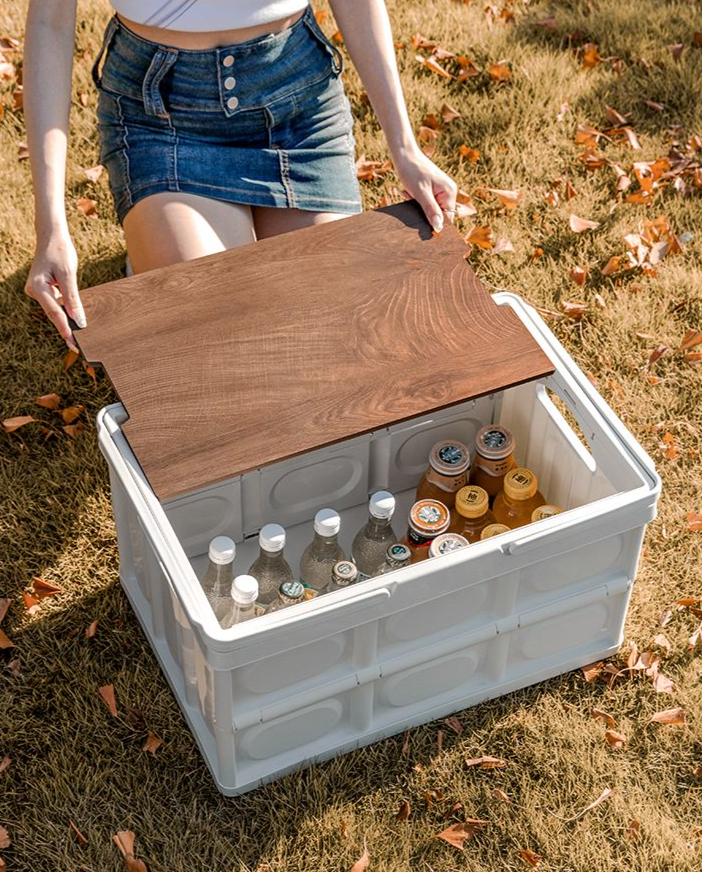 Contenitore per alimenti portatile pieghevole per bagagliaio auto da campeggio e picnic_voghion.com