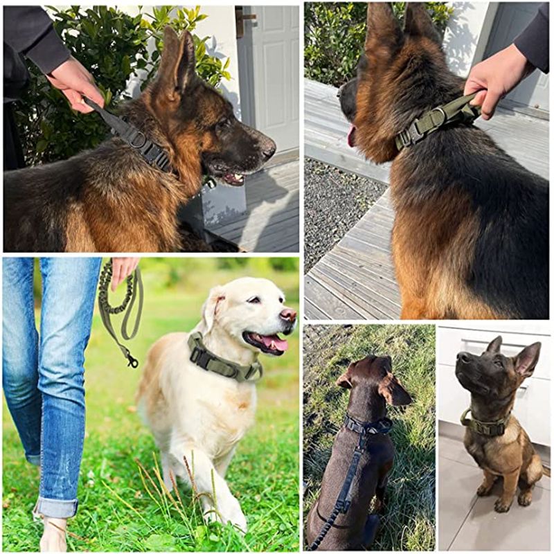 1 Stéck Haltbaren Takteschen Hondshalsband a Leesch Verstellbar Militär Hausdéierhalsband Leesch Mëttelgrouss Hond Däitsche Schäferhund Trainingsaccessoiren_voghion.com