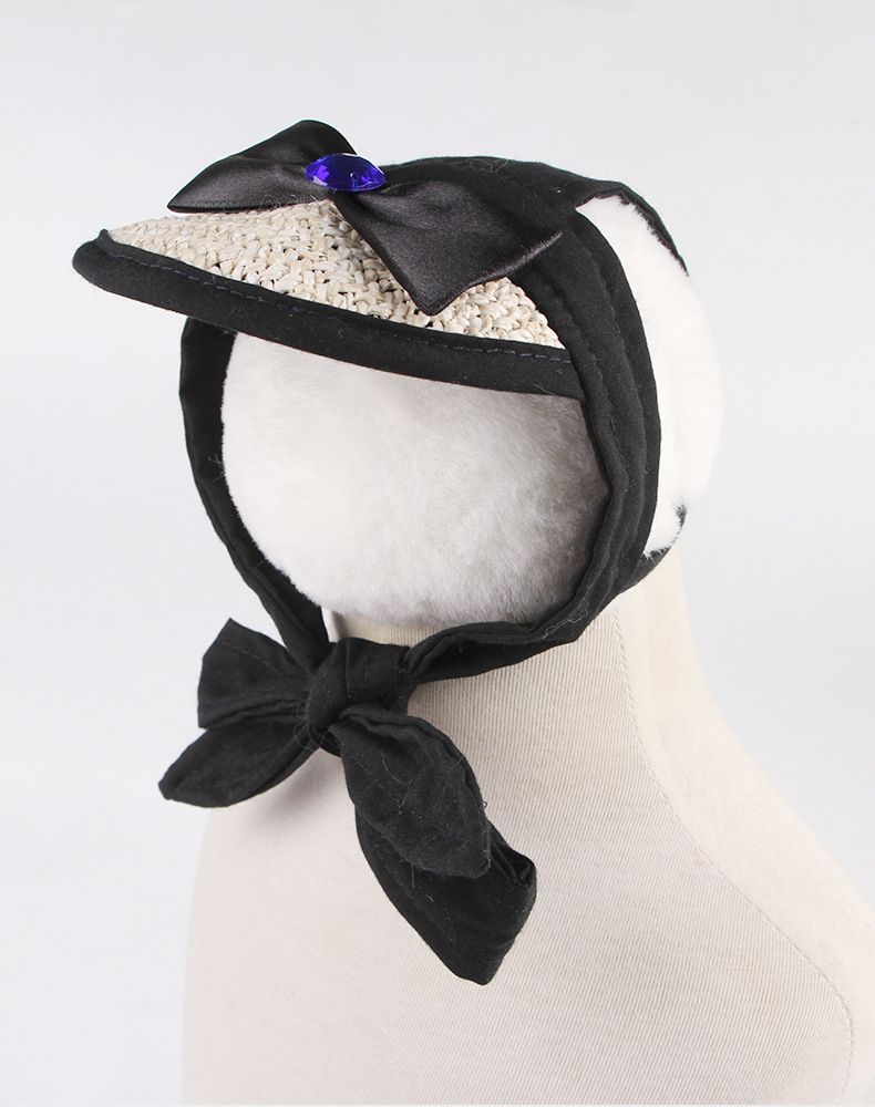 Kæledyrsudflugt Kat Sommerudgave Lille Hund Bamse Solcreme Øreeksponering Cool Hat_voghion.com