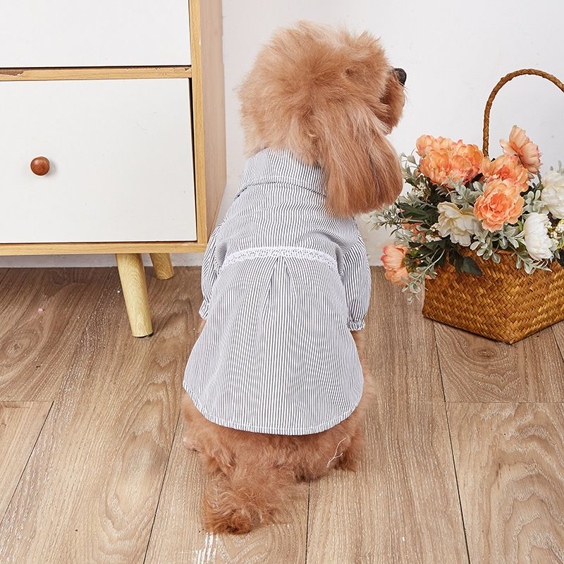 Schwarz Weiß Blau Plaid Stil Katze Kleidung Trendy Marke Rock Neue Vielseitige Haar Zubehör Hund Kleidung_voghion.com
