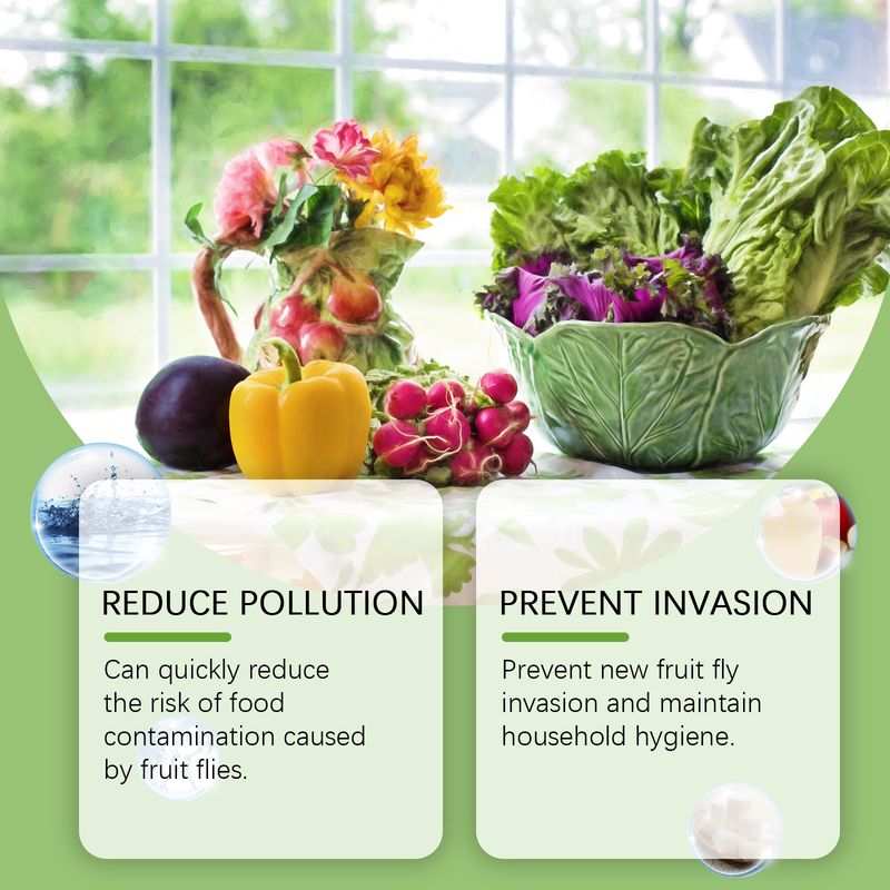 Yegbong Fruit Fly Trap Supplement Set, Fruit Fly Lure Water Physical Trap Fruit Fly Trap Agent_voghion.com