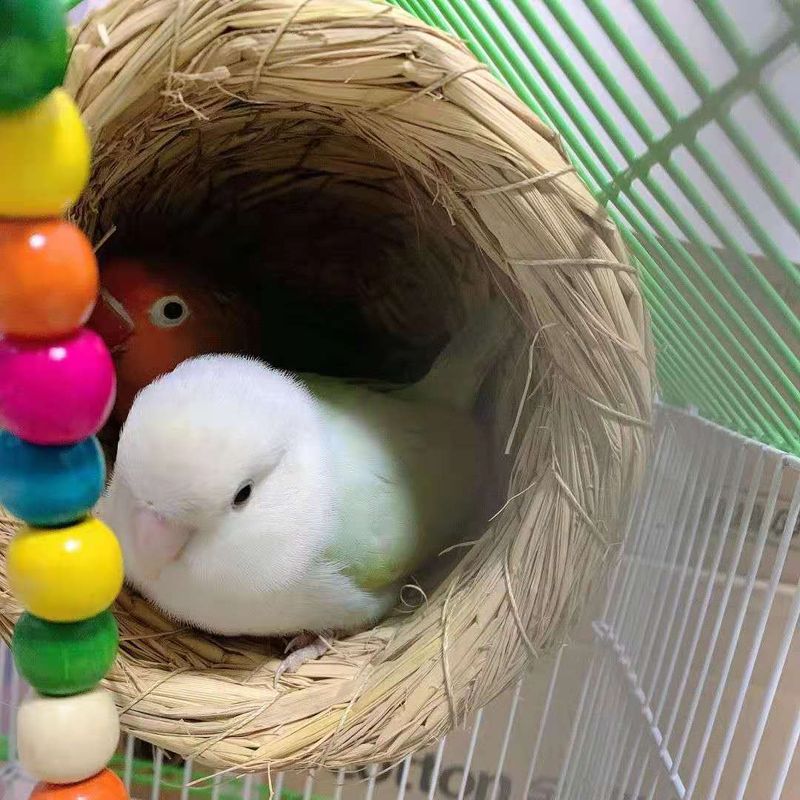 Strohgewebtes Nest für Unzertrennliche, Wellensittiche und Finken, kleines Perlgrasnest, Brutkasten, warmer Vogelkäfig für den Winter_voghion.com