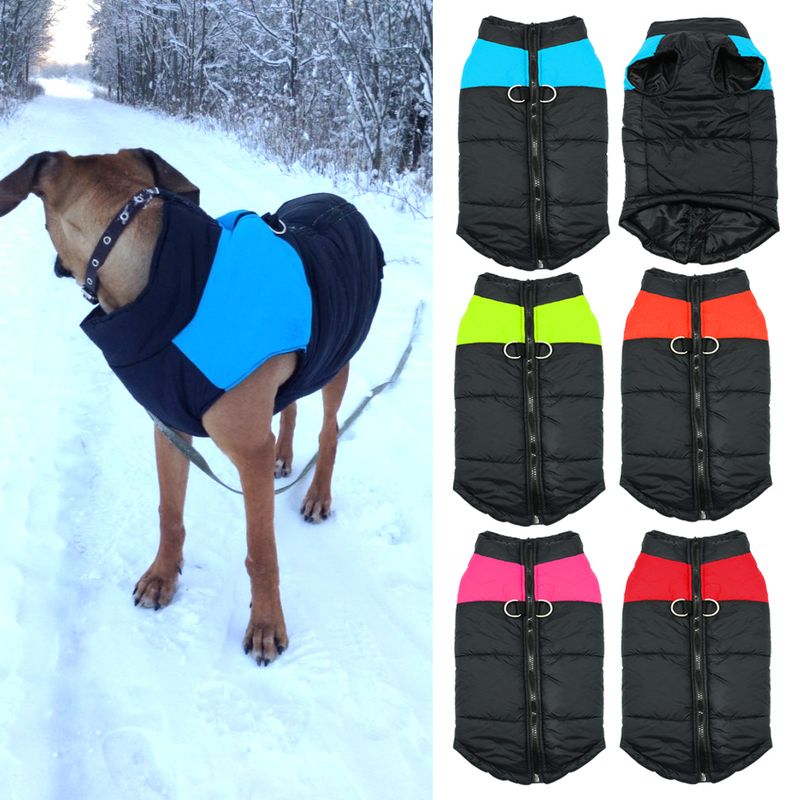 Beirui Winter Vest For Dogs, Blue/Pink/Red/Green, S-5XL By PawParty Store_voghion.com