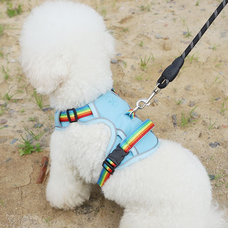 Coleira anti-fuga para cachorro, coleira de pelúcia para gato, colete para passear com cachorro, estilo bichon frisé, arnês para áreas externas_voghion.com