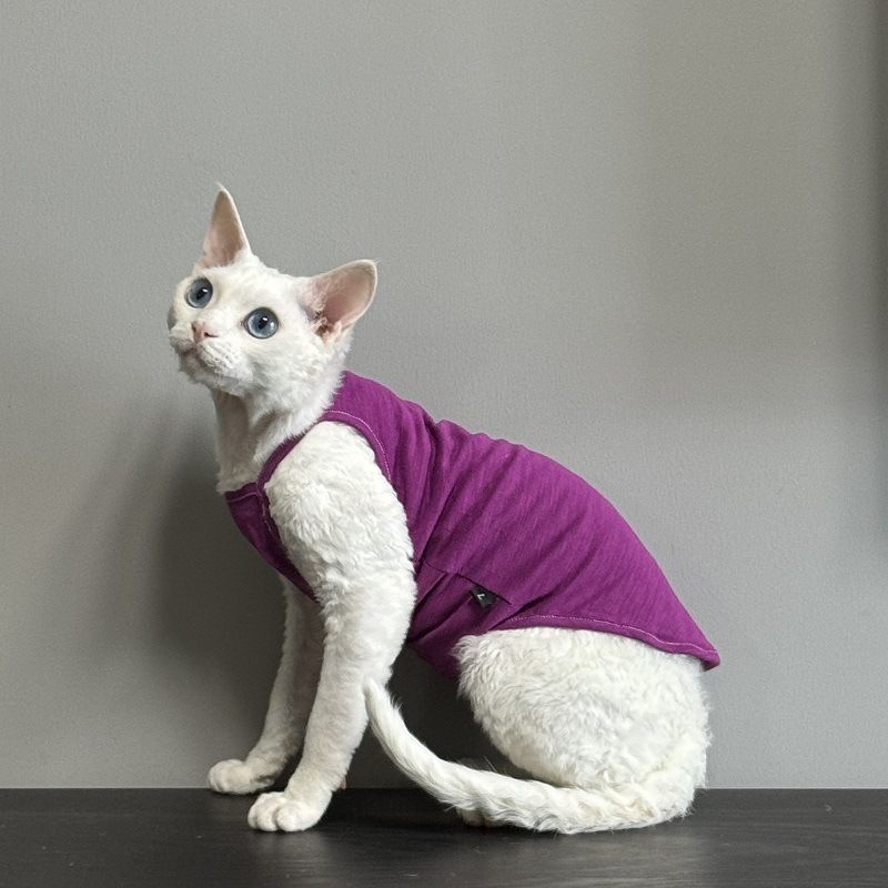 Tuta per gatti Devon Rex Sphynx, estiva, senza peli, multicolore, traspirante, sottile, in cotone di bambù, senza cuciture, con aria condizionata_voghion.com