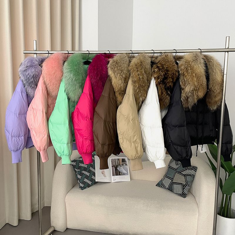 Women's Clothing Ready to stock detachable oversized raccoon fur collar winter women's short thickened white duck Warm jacket jacket flat coat coat_voghion.com