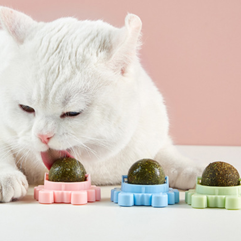 3 Pcs/Set For Cat Catnip Toys With Lid Interactive Toy Teeth Cleaning Mint Ball_voghion.com