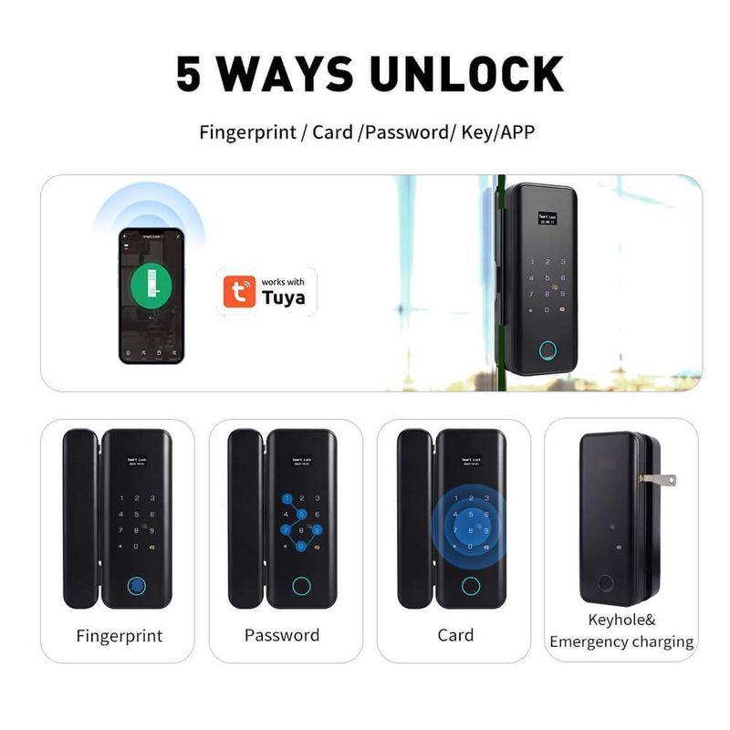 Hot Sale High Cost Performance Glass Door Lock G11S With Fingerprint Password Key_voghion.com